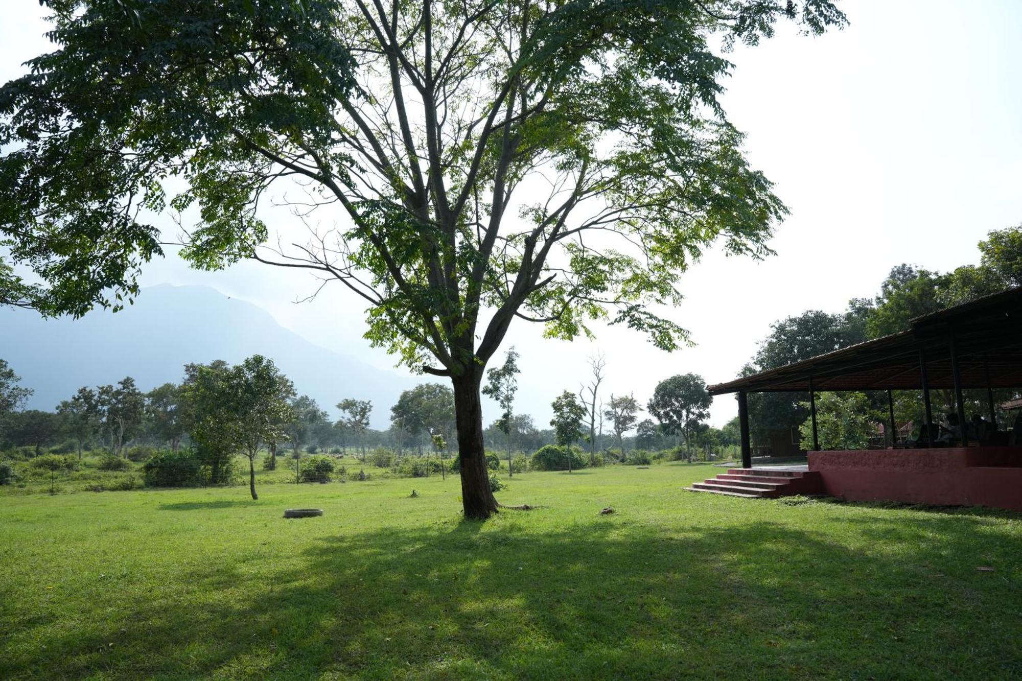 Labdhi Resorts Masinagudi- Stag Groups Not Allowed Exterior foto